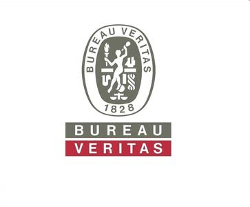 BV船舶數(shù)量增長強勁