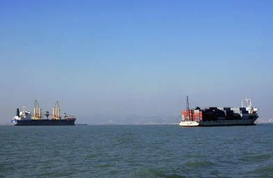 寧波國際貨代的主要職責是什么？